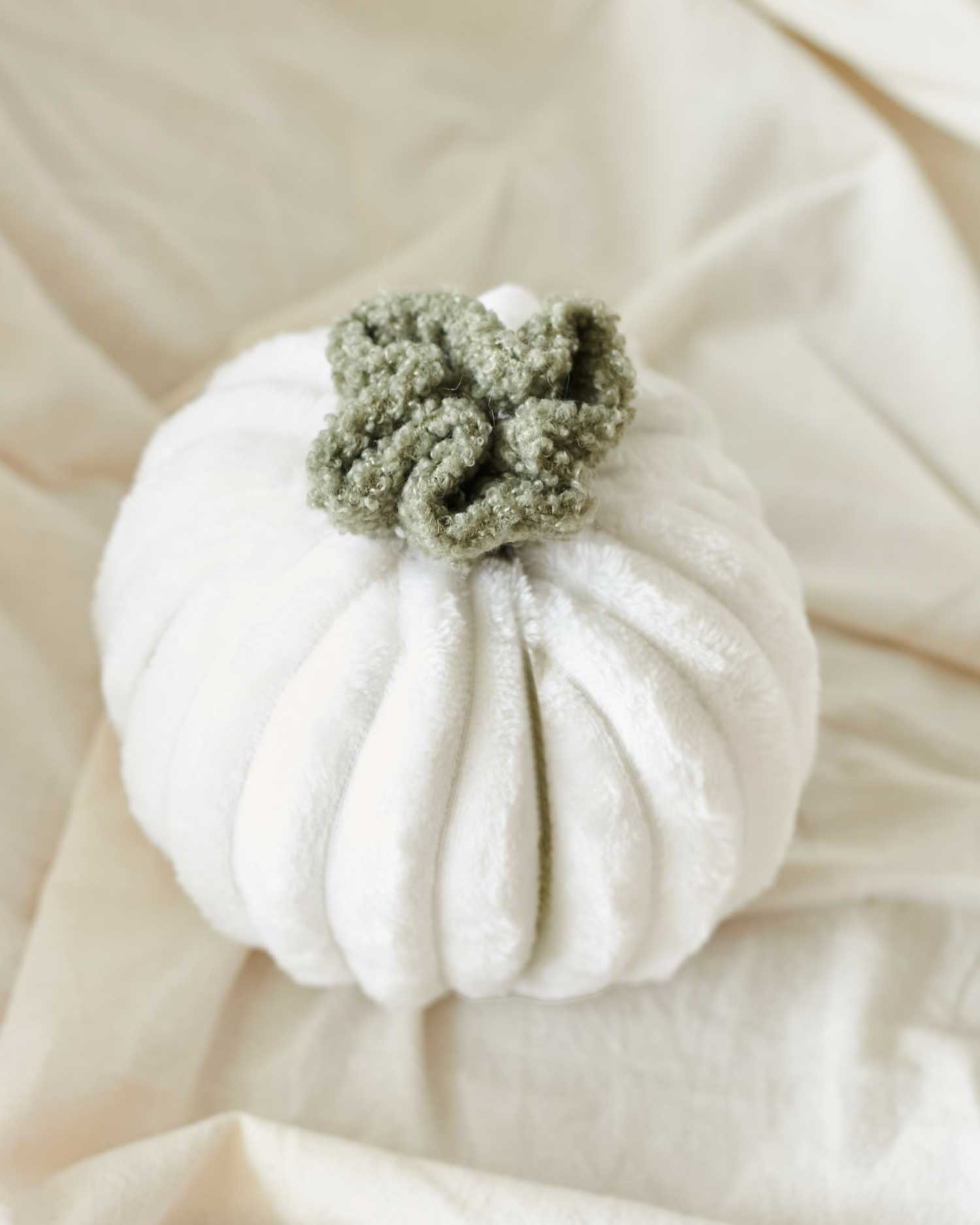 Calabaza pequeña blanca halloween